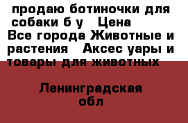 продаю ботиночки для собаки б/у › Цена ­ 600 - Все города Животные и растения » Аксесcуары и товары для животных   . Ленинградская обл.